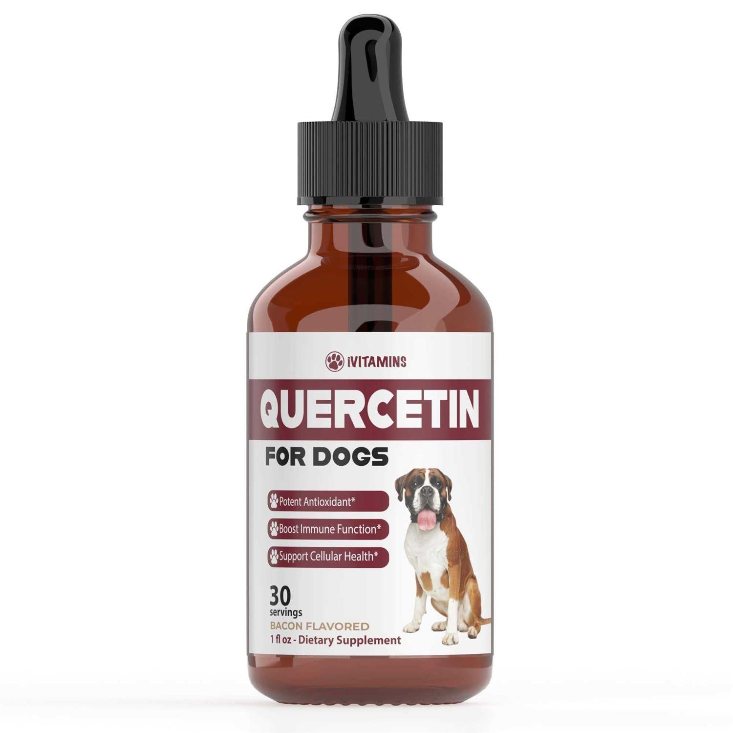 Quercetin for Dogs U128070
