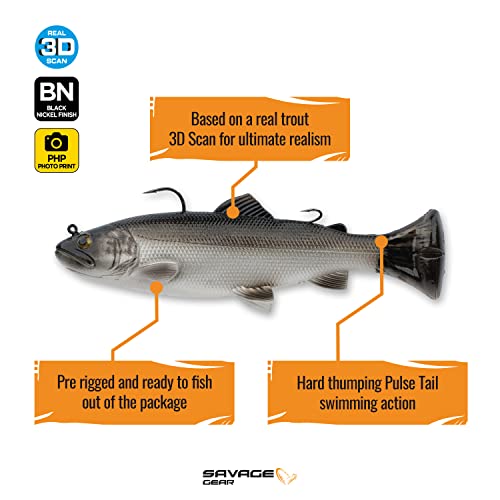 3D Pulse Tail Trout 8" Sinking Lure F53228