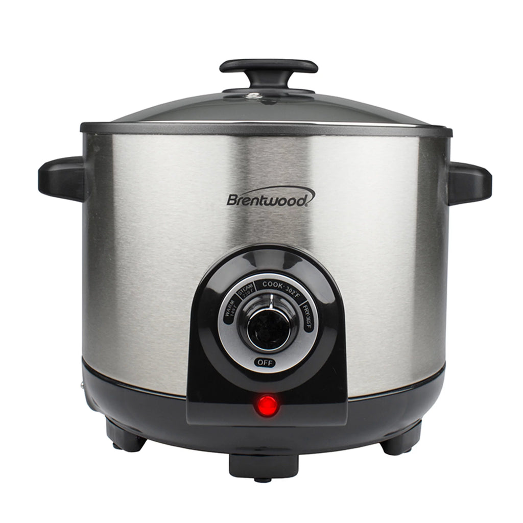 5.2 Quart Stainless Steel Electric Deep Fryer J745