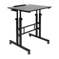 24" Mobile Stand Up Desk Adjustable Height Small Storage Desk with Wheels Black Q8598