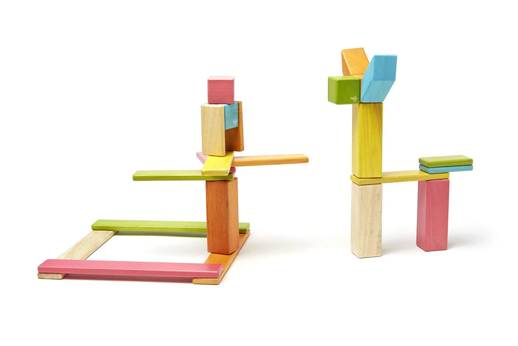 24 Piece Magnetic Wooden Block Set F823941