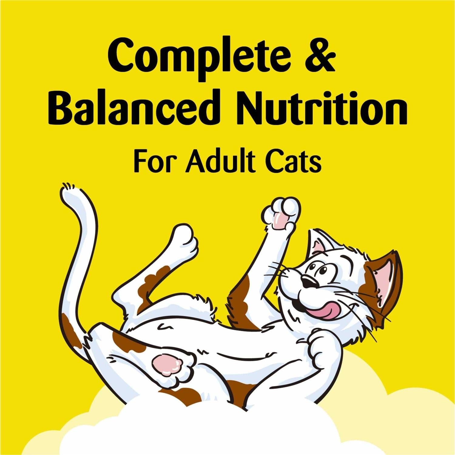 Crunchy Cat Treats R51576