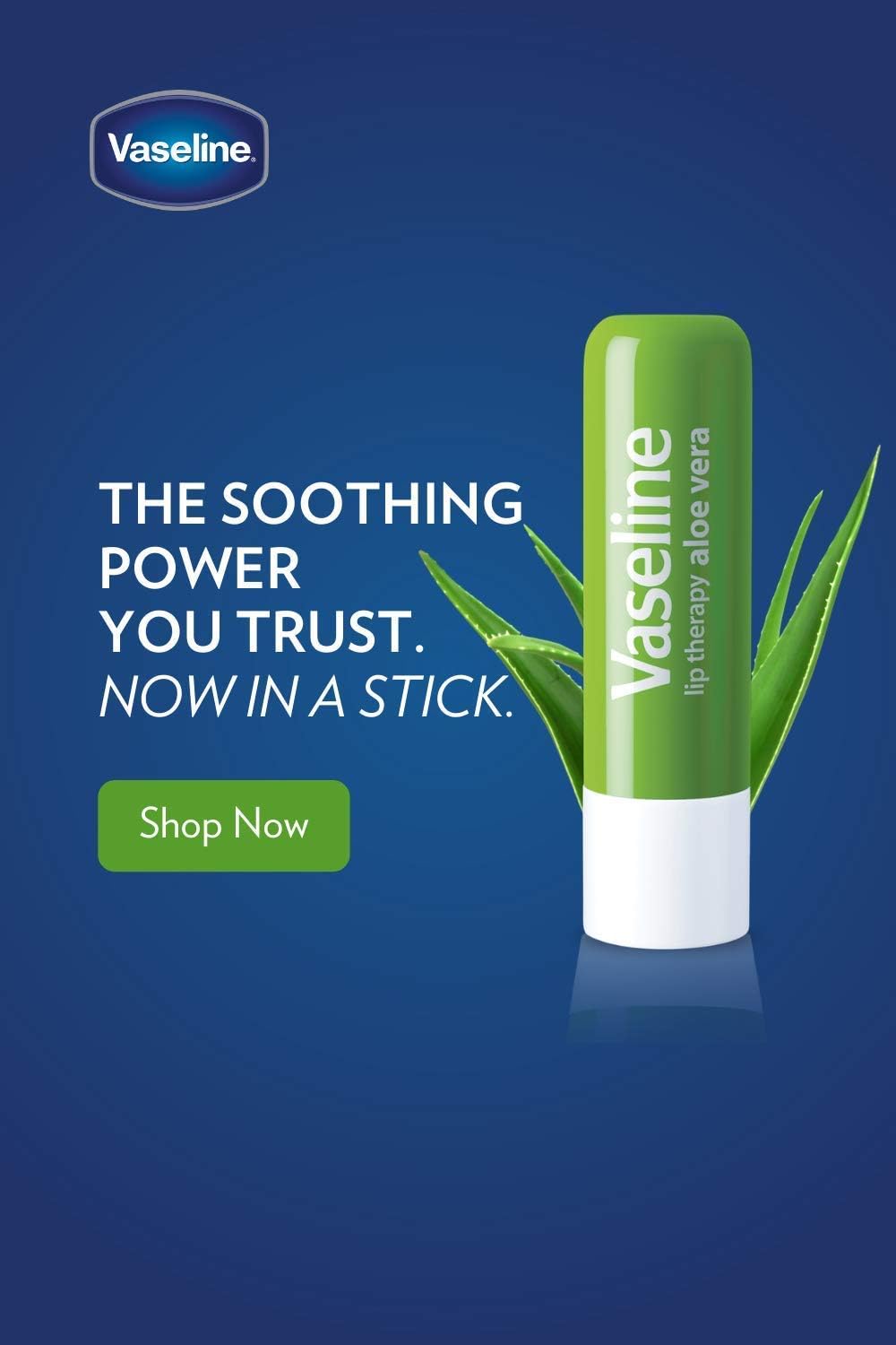 Lip Therapy Stick with Petroleum Jelly (Aloe Vera, Pack of 2) X645
