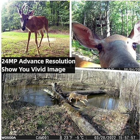 24MP 1080P HD Waterproof Game Camera 2 Pack Z3188