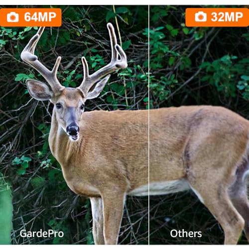64MP 1296p Trail Camera with No Glow Night Vision I50614