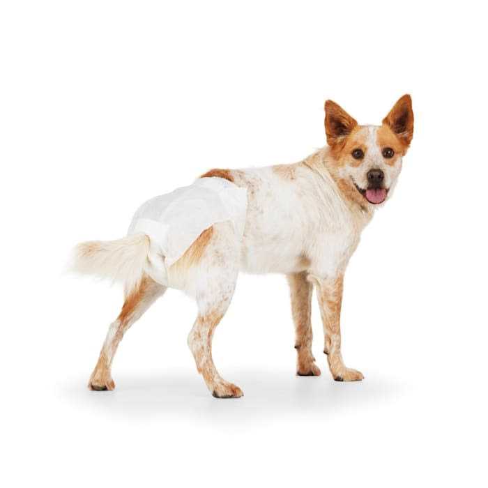 Disposable Pet Diapers F5008