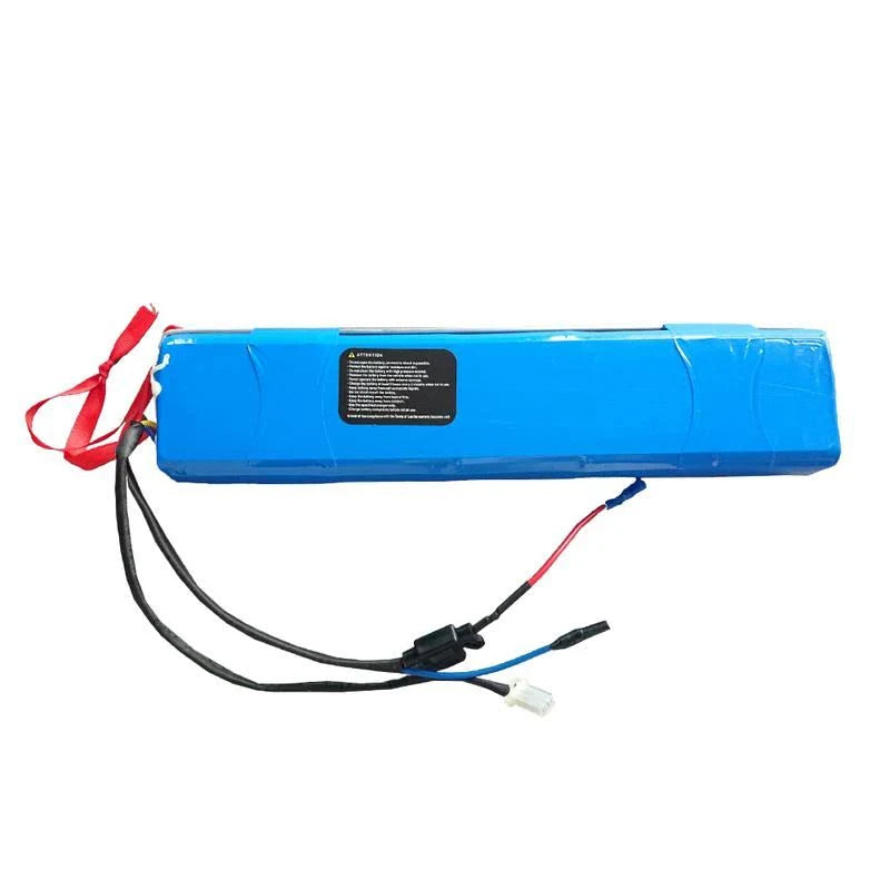 36V 10Ah Electric Bike Lithium Battery Z8962