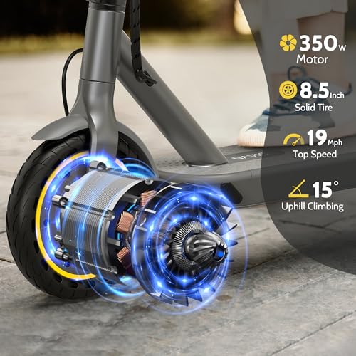 Electric Scooter with Dual Braking Dual Suspension F5244