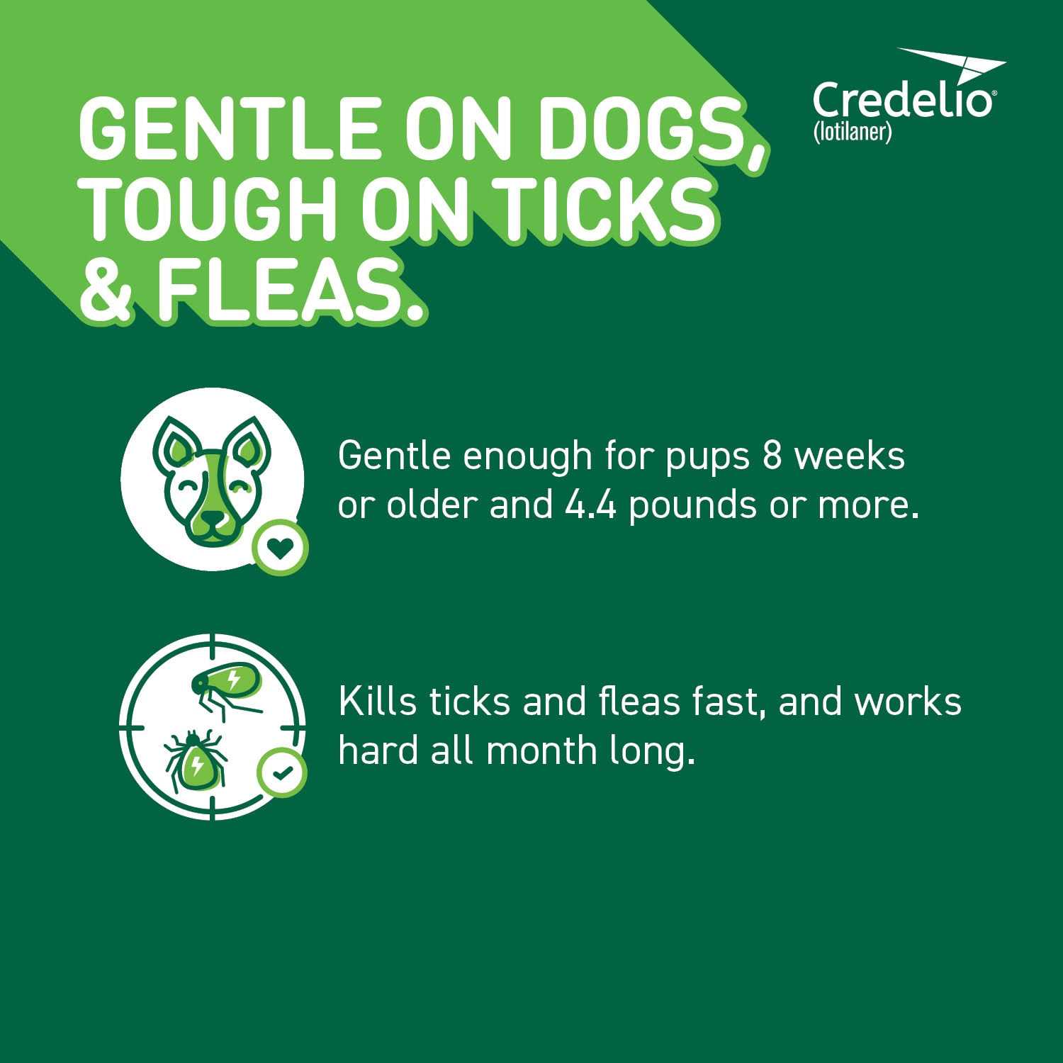 Chewable Tablet for Dogs 25.1-50 lbs P383