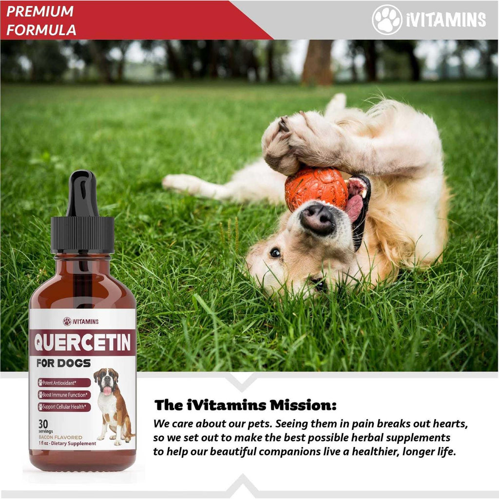 Quercetin for Dogs U128070