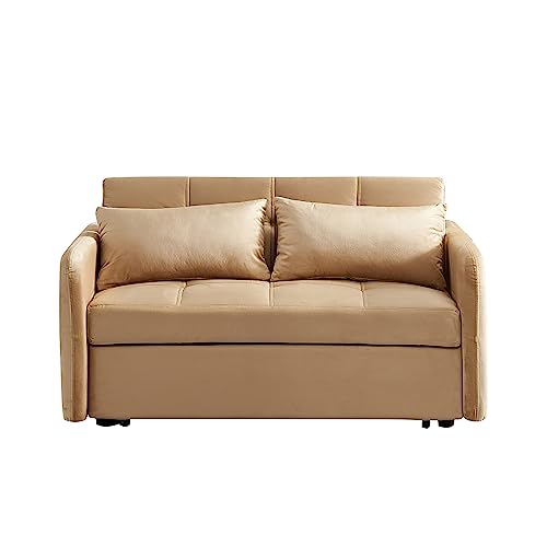 Velvet 3 in 1 Pull-Out Sleeper Sofa Chair E5253