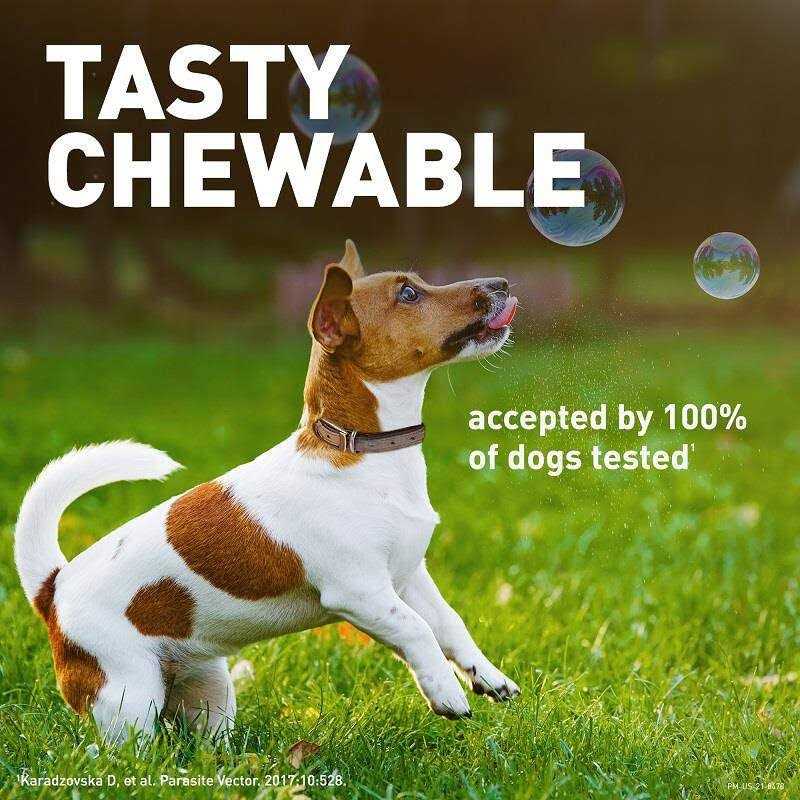 Chewable Tablet for Dogs 25.1-50 lbs P383