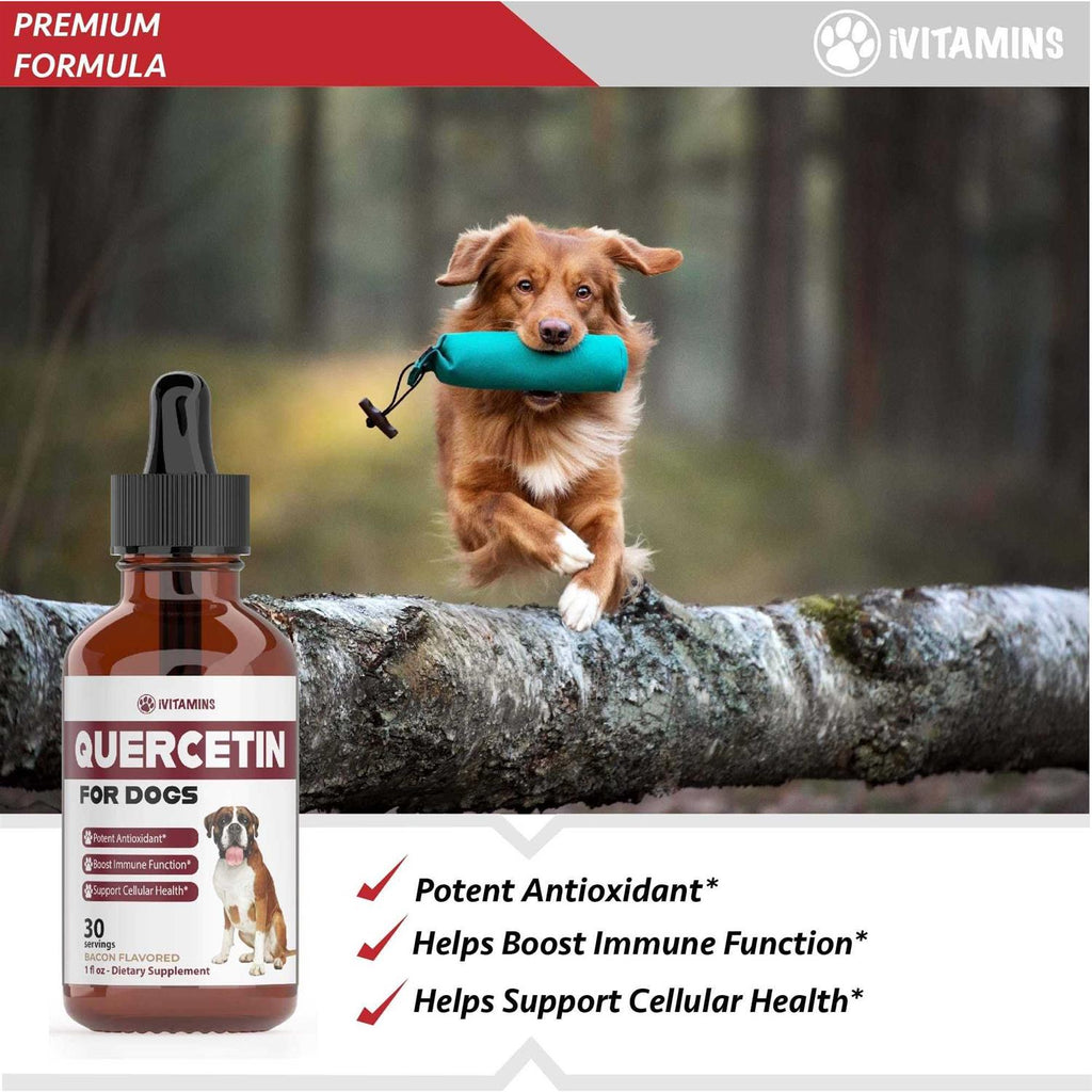 Quercetin for Dogs U128070
