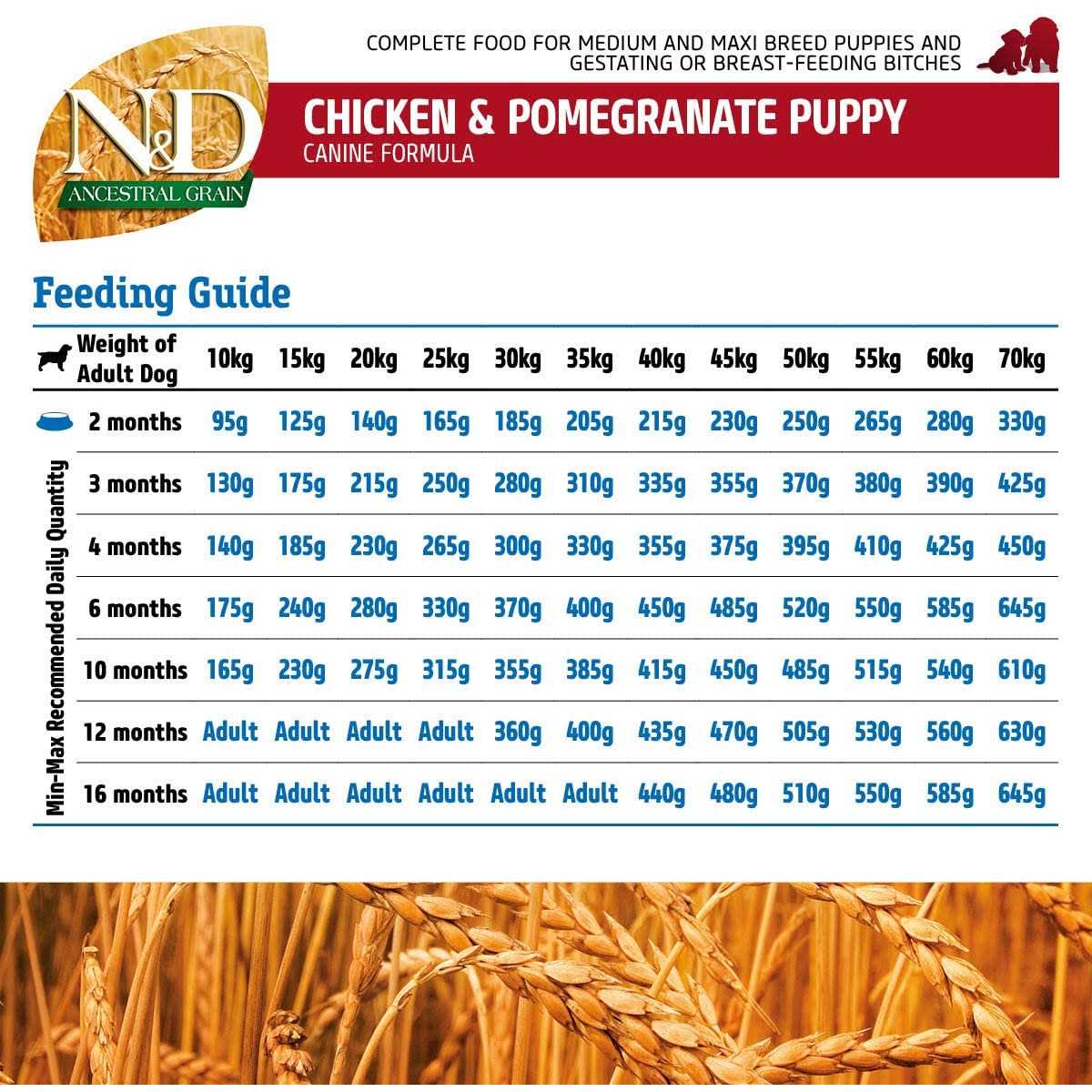 Chicken & Pomegranate Dry Dog Food Q37468