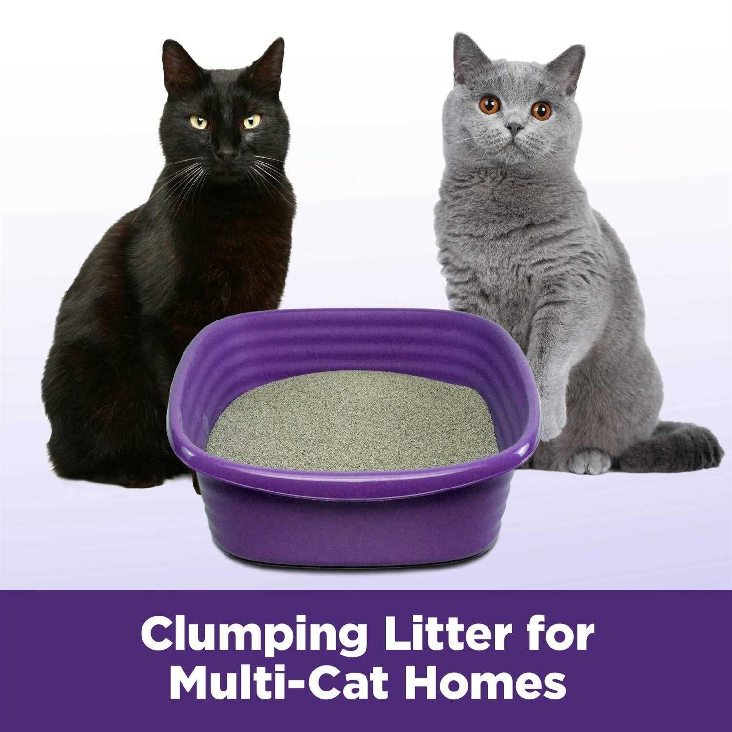 Slide Easy Clean-Up Clumping Cat Litter E9451