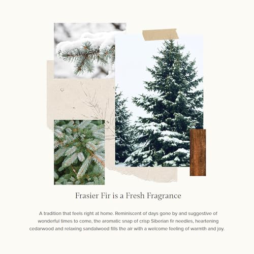 Frasier Fir Scented Candles (3-Wick, 17 oz) Z586