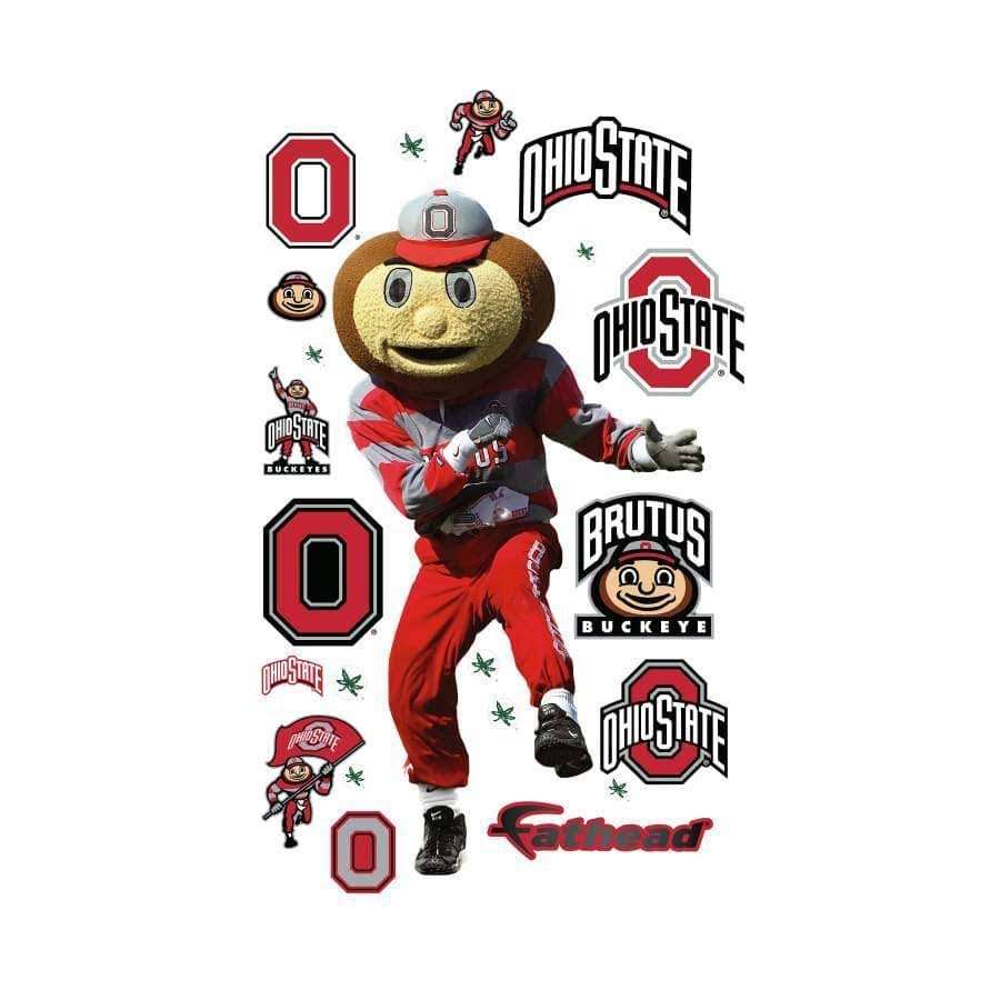 Ohio State Buckeyes Giant Removable Decal T734