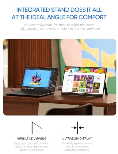 IPS Portable Monitor G978622