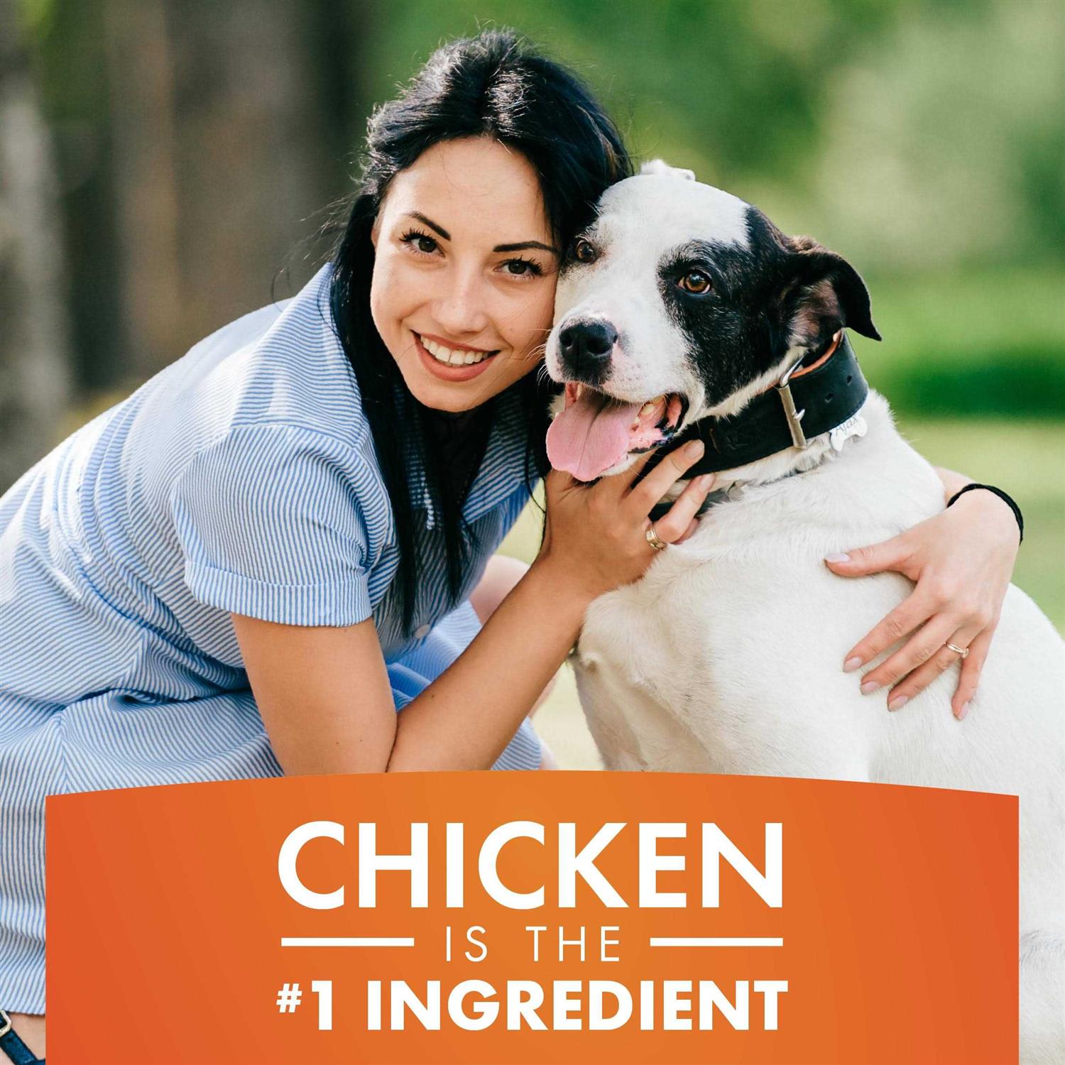 Real Chicken Jerky Dog Treats K66025