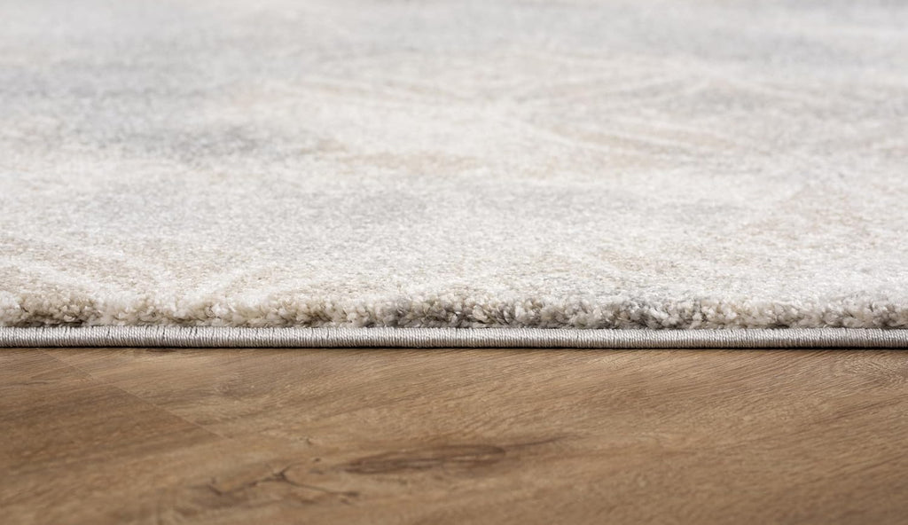 Grey Brown Plush Area Rug 4' x 6' G4420