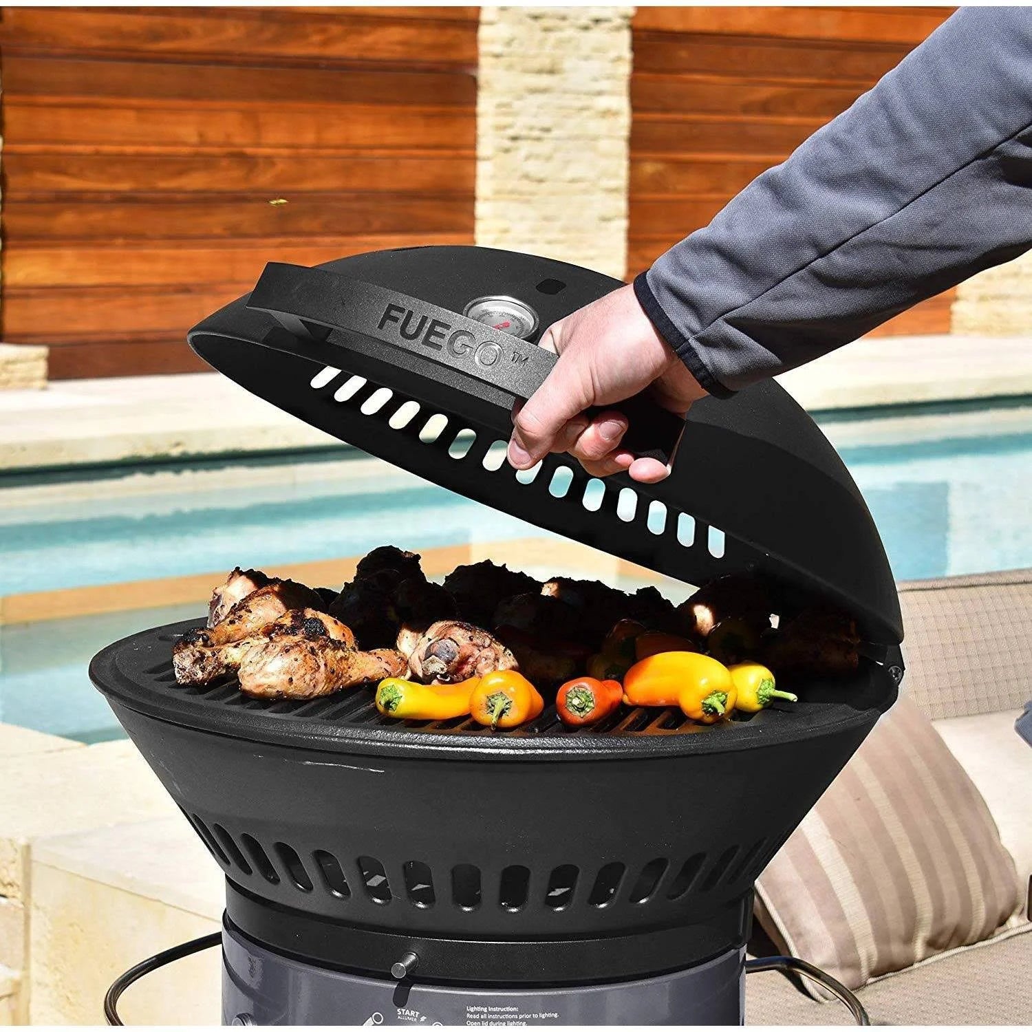 Dark Gray Propane Gas Grill S2281