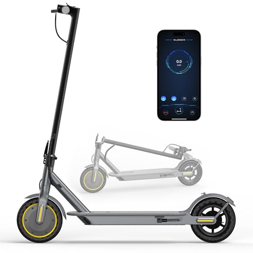 Electric Scooter with Dual Braking Dual Suspension F5244