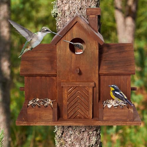 3 Hole Bird House with Bird Feeder R45706