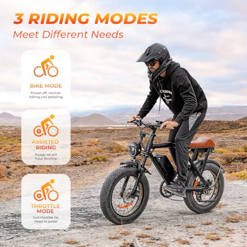 20" Fat Tire Electric Bike with 15.6Ah Battery Q9180