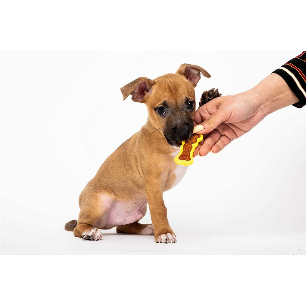 Chew 'n Clean Dental Duo Dog Chew Toy Treat T8772