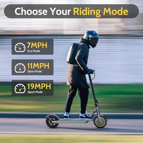 Electric Scooter with Dual Braking Dual Suspension F5244