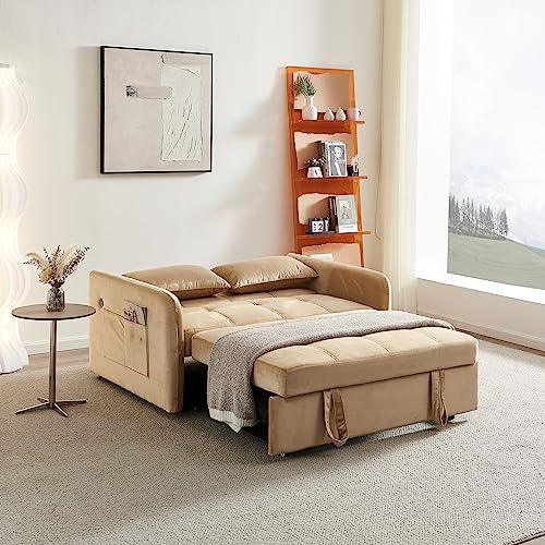Velvet 3 in 1 Pull-Out Sleeper Sofa Chair E5253