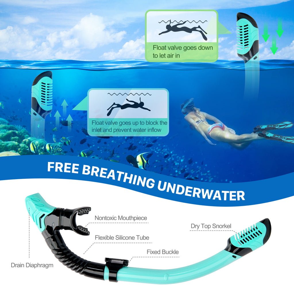 5 in 1 Snorkeling Gear Set with Tempered Glass and Travel Bag P1990