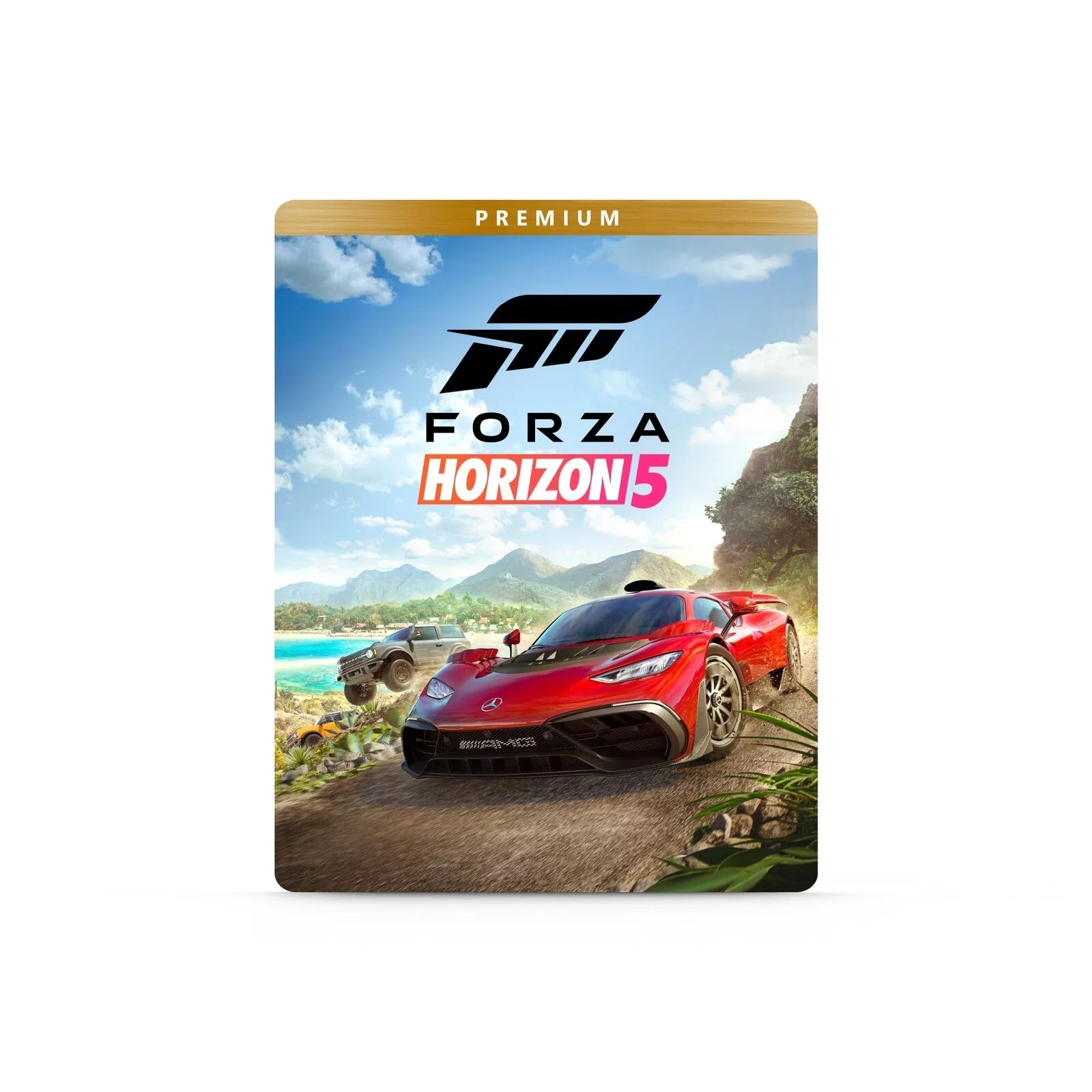 Forza Horizon 5 Bundle N339