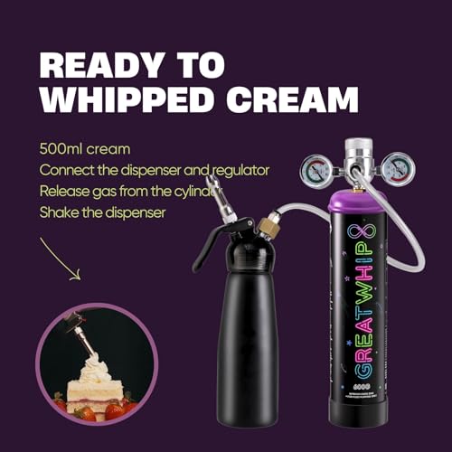 600g Whipped Cream Charger Cylinder Food Grade Pure Whip Cream Tank Cartridge 6 Cylinders R550