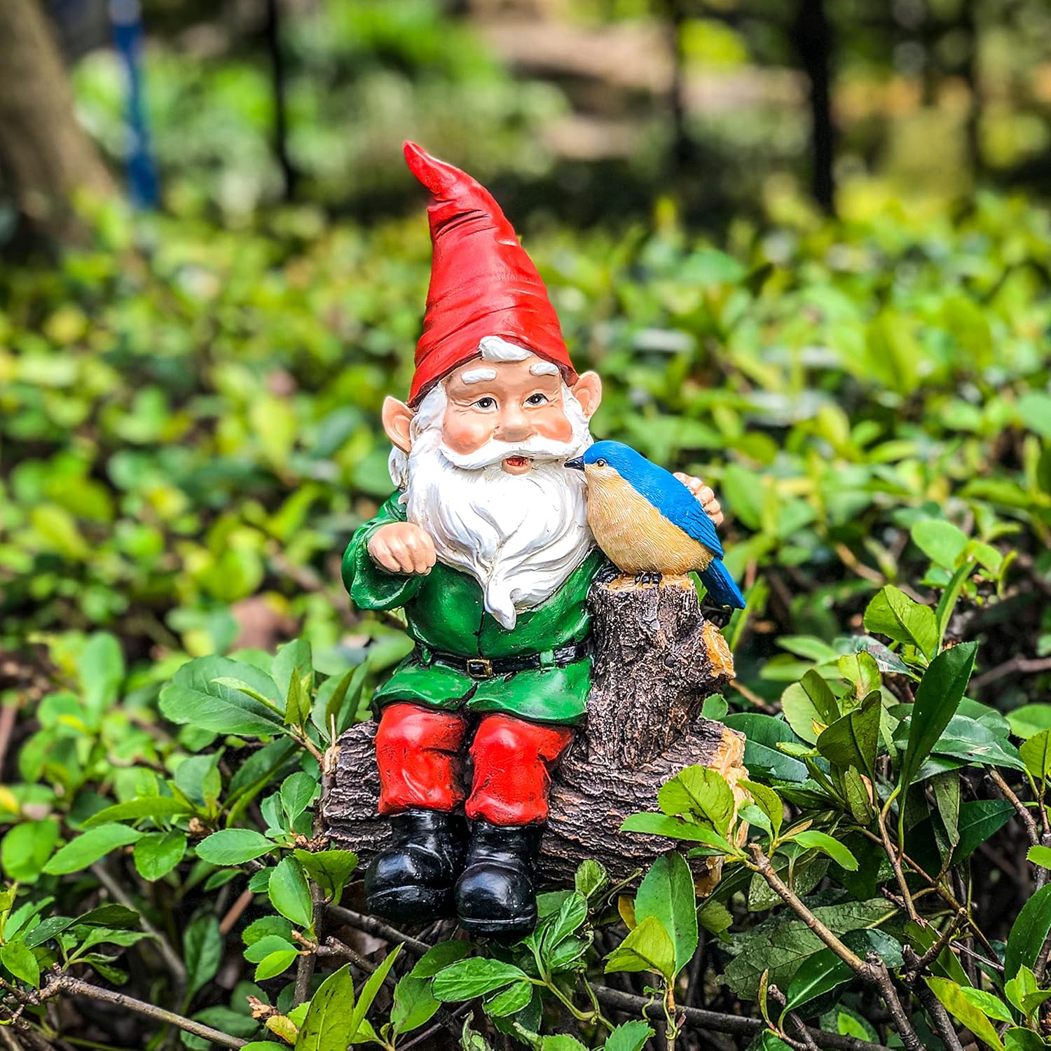 Outdoor Gnome Statue with Bird Statue Y1676