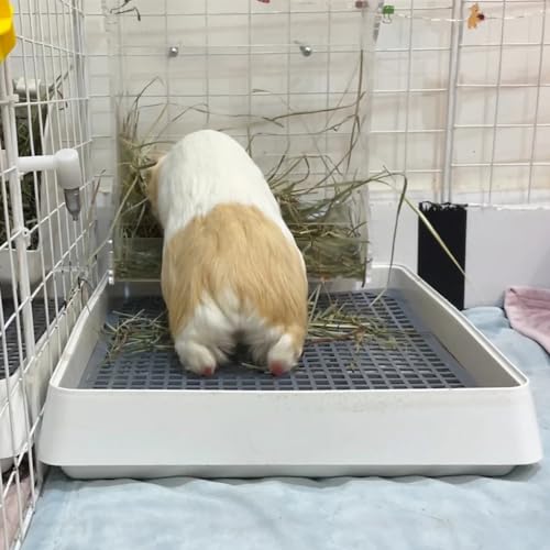 Rabbit Large Litter Box with Toilet Tray, 15x12x3 Inches R185