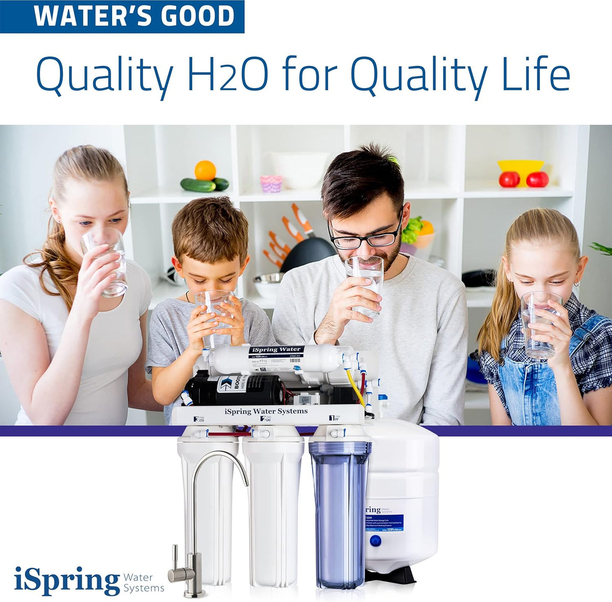 High Capacity 5-Stage Under Sink Reverse Osmosis Water Filter, 100 GPD W709298