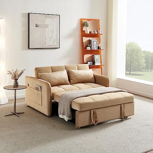 Velvet 3 in 1 Pull-Out Sleeper Sofa Chair E5253