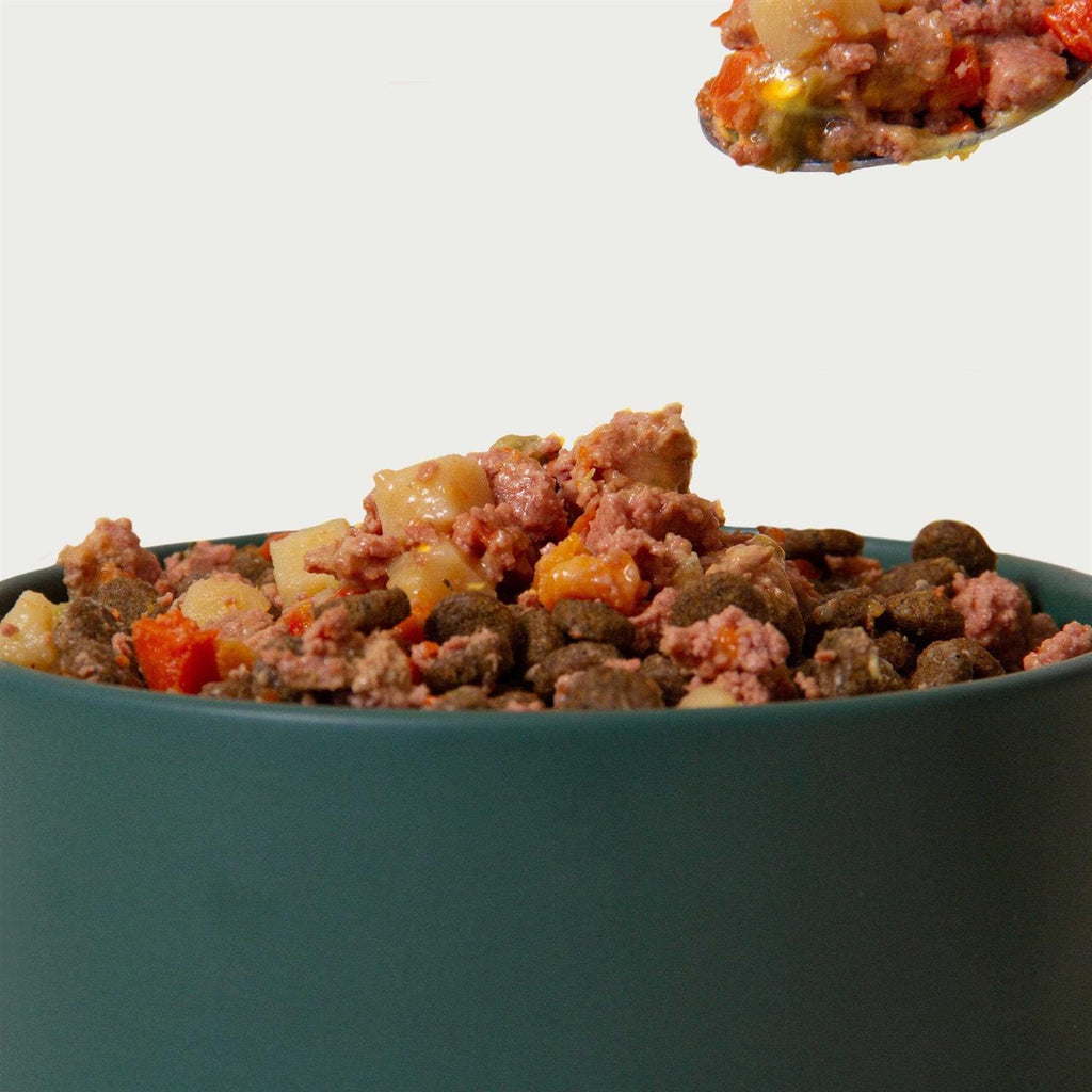 Beef & Chicken Recipe Wet Natural Dog Food N2185
