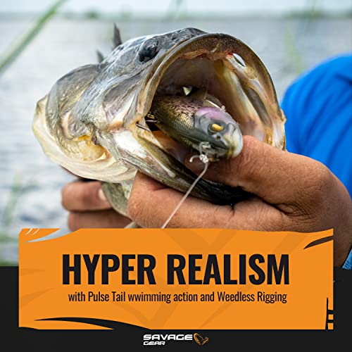 3D Pulse Tail Trout 8" Sinking Lure F53228