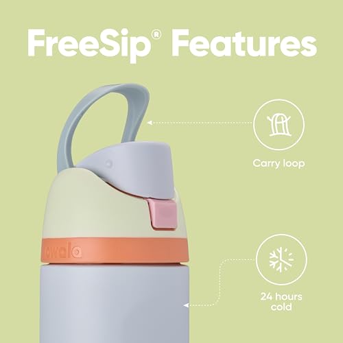 16 oz Stainless Steel Water Bottle with Straw D15218
