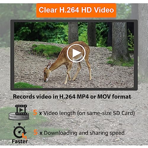 64MP 1296p Trail Camera with No Glow Night Vision I50614