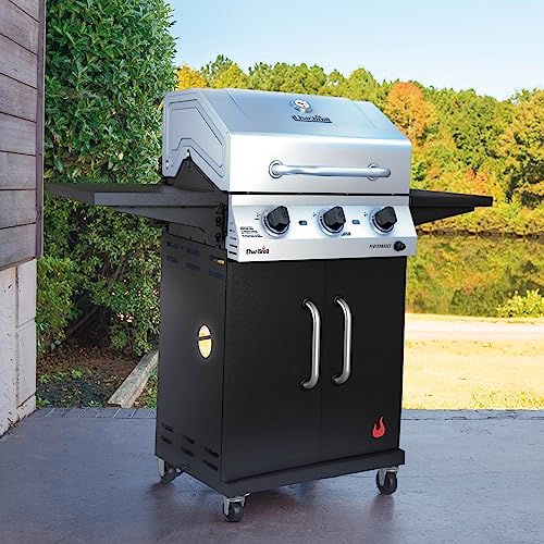 2-Burner Propane Gas Stainless Steel Grill F39262