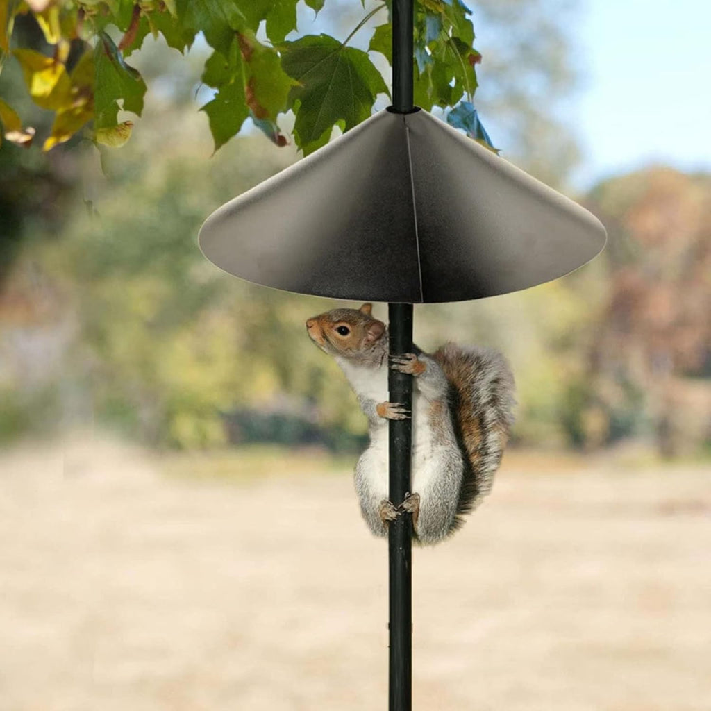 Plastic Squirrel Baffle (16 inches) Z662