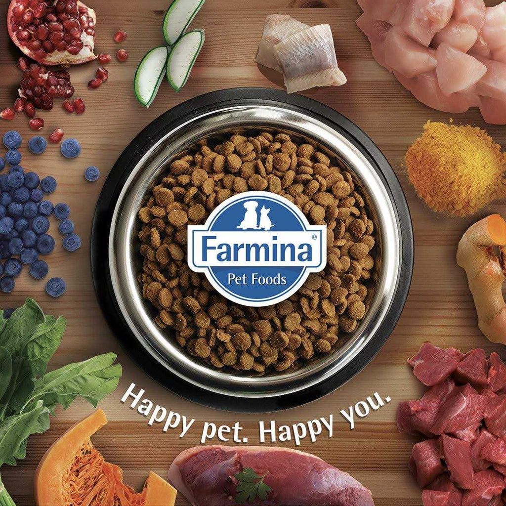 Chicken & Pomegranate Dry Dog Food Q37468
