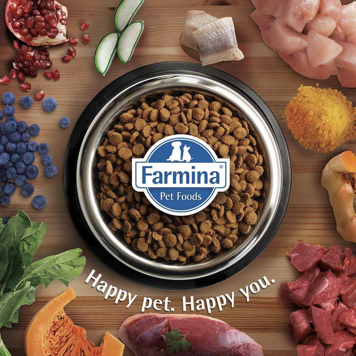 Chicken & Pomegranate Dry Dog Food Q37468
