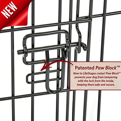 36-Inch Folding Dog Crate with Double Door Y290279