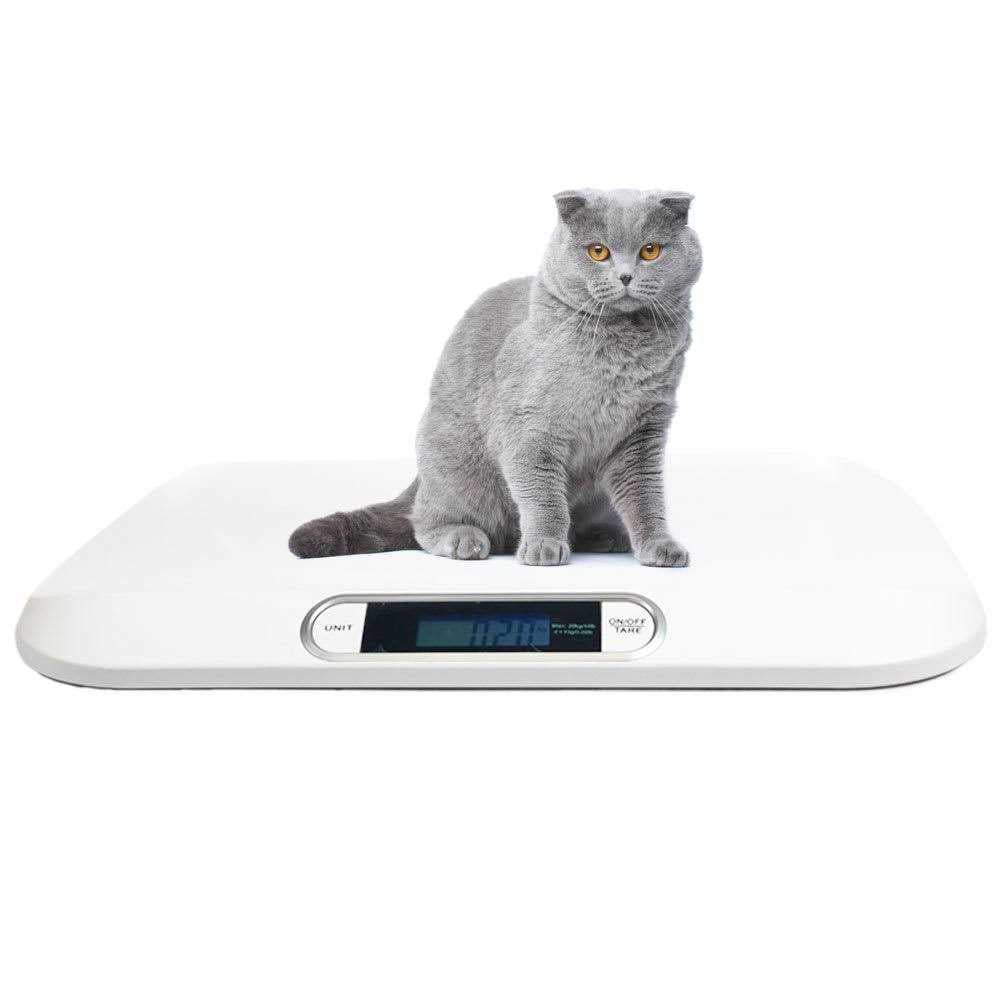 Digital Portable Pet Scale 44 lb x 0.22 lb A659373