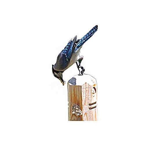 16 Pack Suet Plugs R858401