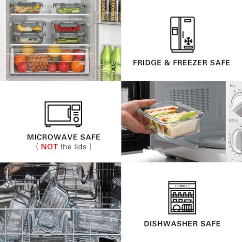 10 Pack 22 Oz Glass Meal Prep Containers with Lids, Gray Y110